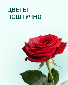 Цветы поштучно