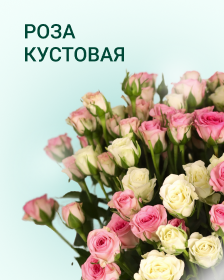 Кустовая роза