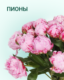 Пионы