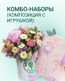 Композиции с игрушками