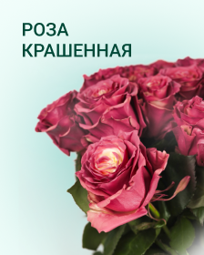 Крашенные розы
