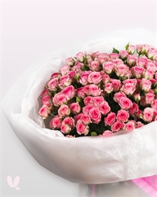 Кустовая роза