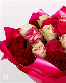 Роза Эквадор