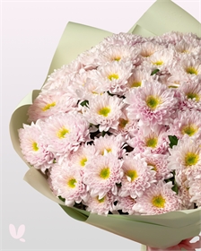 Хризантема