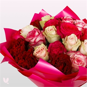 Розы Эквадор