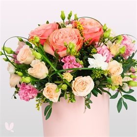 Композиции