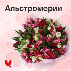 Альстромерии