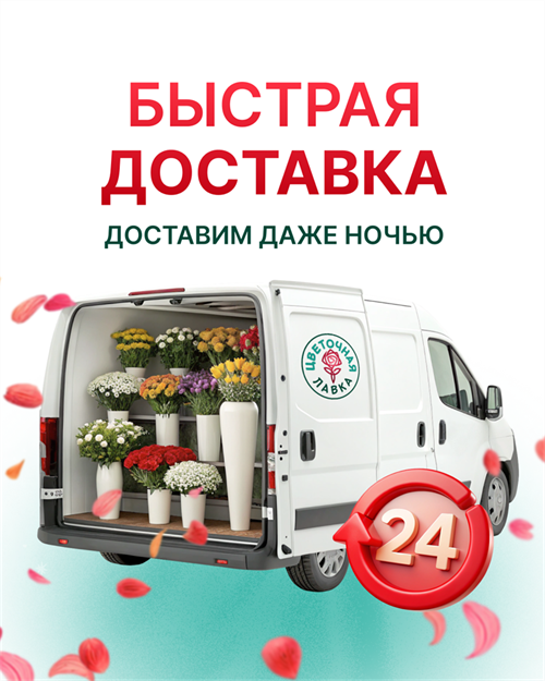Доставка от 300р 4024 - фото 11850