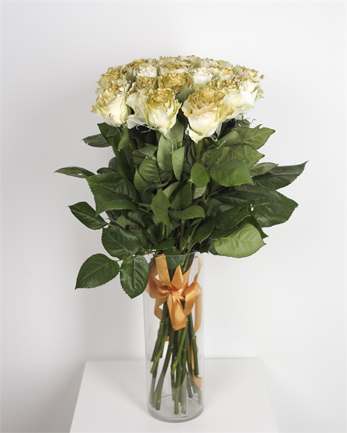 Букет из 25 крашенных роз Эквадор 5431 - фото 13174