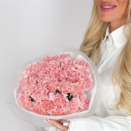 Букет из 25 диантусов 5486 - фото 13785