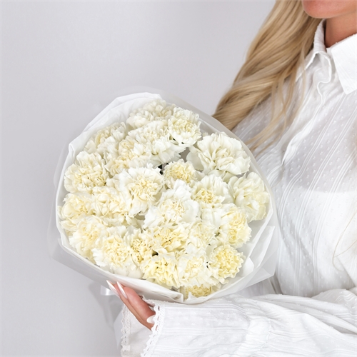 Букет из 25 диантусов 5485 - фото 13790