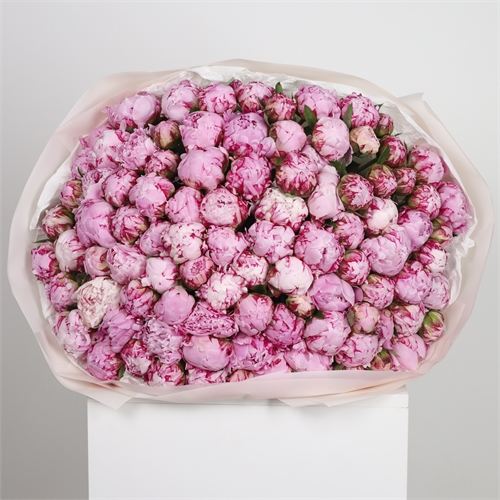 Букет из 101 пиона 3896 - фото 13881