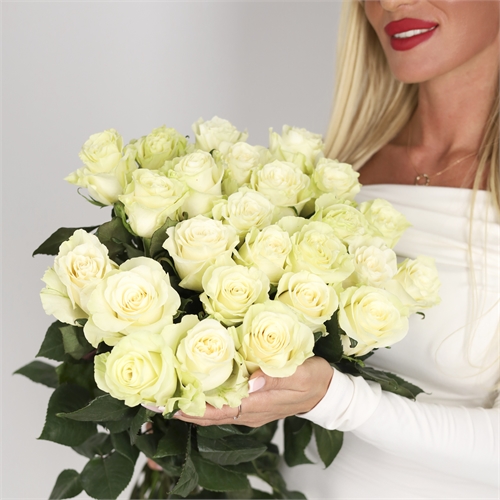 Букет из 25 роз Эквадор 60 см 2439 - фото 14017