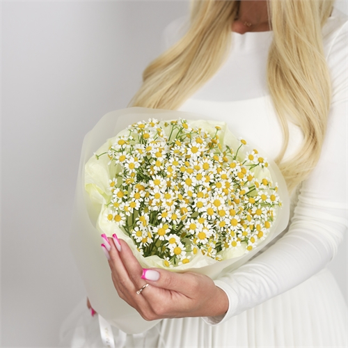 Монобукет "Полевые ромашки" 3945 - фото 14264