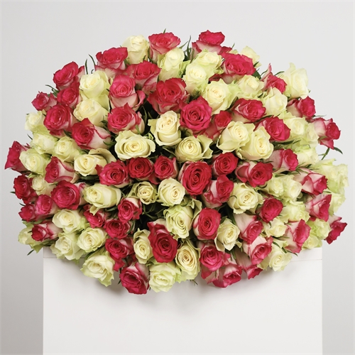 Букет из 101 розы Кения 50 см 3919 - фото 14518