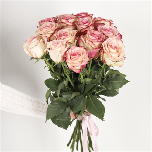 Букет из 15 роз Эквадор 50 см 2962 - фото 14782