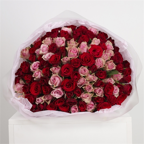 Букет из 101 розы Кения 40 см 4059 - фото 14953