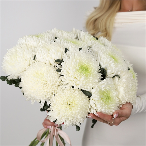 Букет из 15 одноголовых хризантем Магнум 2096 - фото 15032