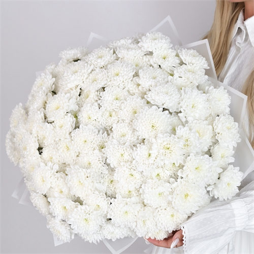 Букет из 25 хризантем 1975 - фото 15038