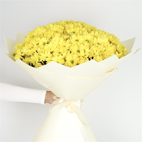Букет из 25 хризантем Бакарди желтая 1809 - фото 15050