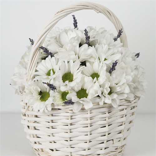 Композиция с ромашками и ароматом лаванды "Прованс" 2807 - фото 15092