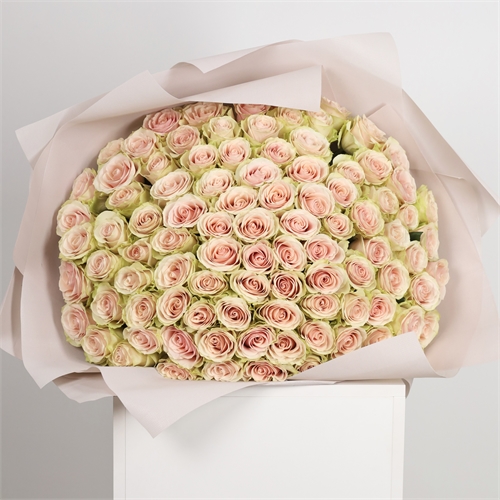 Букет из 101 розы Эквадор 60 см ( Фрутетта) с оформлением 3877 - фото 15134