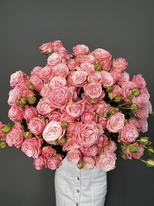 Роза кустовая розовая 70 см Россия - фото 4491