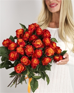 Букет из 25 роз Эквадор 60 см 3016