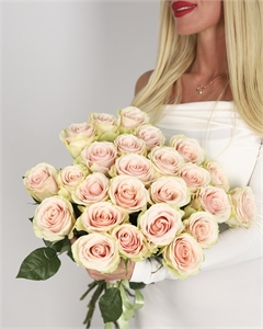 Букет из 25 роз Эквадор 60 см 3905