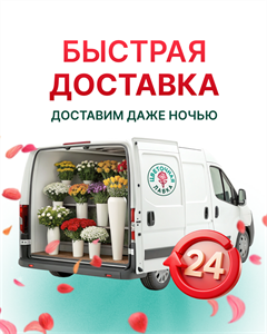 Доставка от 300р 4024
