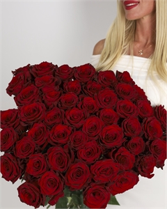 Букет из 51 роз Эквадор 60 см 5336