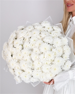 Букет из 25 хризантем 1975