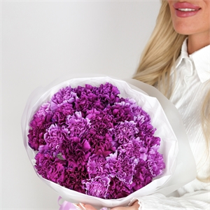 Букет из 25 диантусов 5488