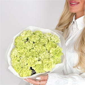 Букет из 25 диантусов 5484