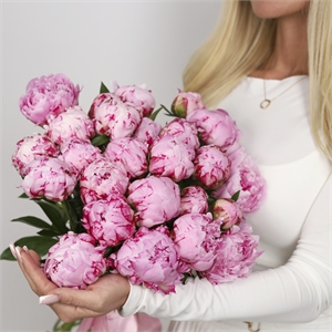 Букет из 25 пионов 3900
