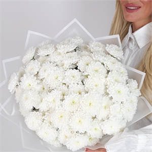 Букет из 15 хризантем 1976