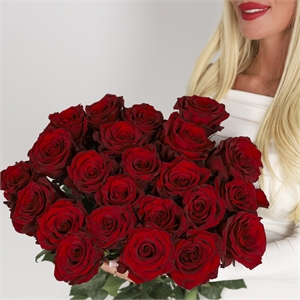 Букет из 25 роз Эквадор 60 см 2437