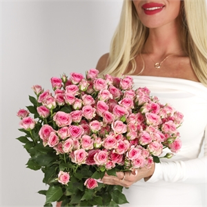 Букет из 25 розовых кустовых роз 60см на ленту 3882