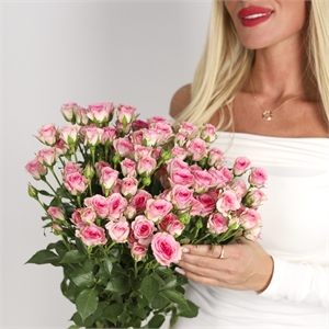 Букет из 15 розовых кустовых роз 60см на ленту 3883
