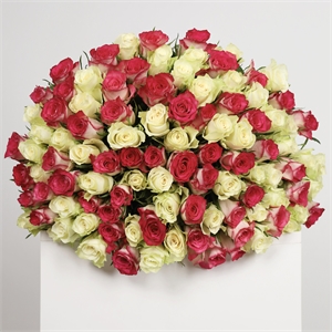 Букет из 101 розы Кения 50 см 3919