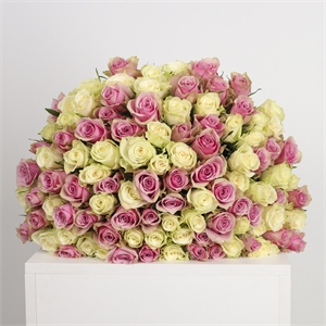 Букет из 101 розы Кения 50 см 4072