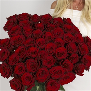 Букет из 51 роз Эквадор 60 см 5336