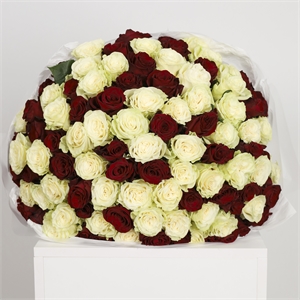 Букет из 101 розы Эквадор 60 см Микс 3963