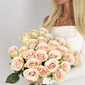 Букет из 25 роз Эквадор 60 см 3905