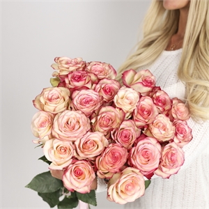 Букет из 25 роз Эквадор 50 см 2172