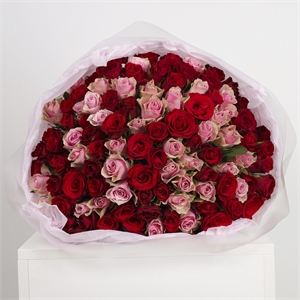 Букет из 101 розы Кения 40 см 4059