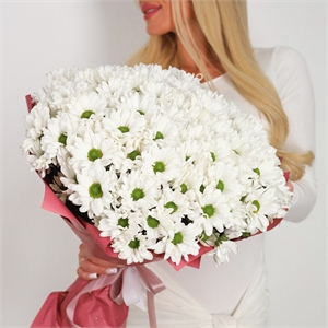 Букет из 25 хризантем 2911