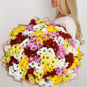 Букет из 55 хризантем 2487