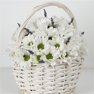 Композиция с ромашками и ароматом лаванды "Прованс" 2807