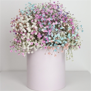 Композиция "Для радости" 2656